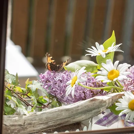 Kogljahrerhuette Vakantiehuis Wolfsberg