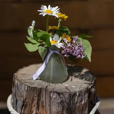 Ferienhaus Kogljahrerhütte Wolfsberg