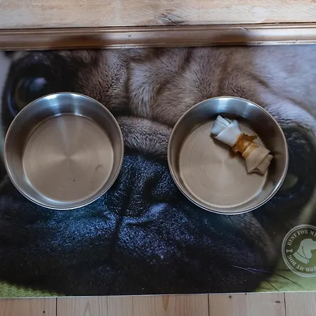 Kogljahrerhuette Wolfsberg