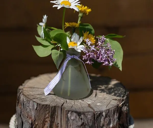 度假居 Kogljahrerhuette 沃尔夫斯堡